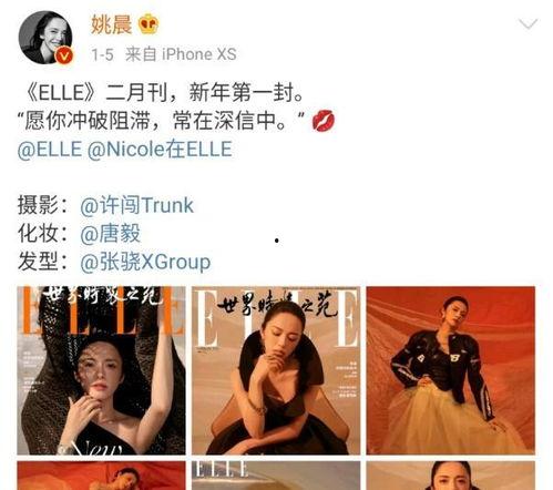 热搜娱乐吃瓜博主小说,揭秘吃瓜博主背后的小说世界