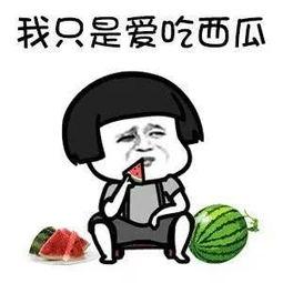 娱乐圈吃瓜去哪吃,揭秘明星们的私藏美食天堂